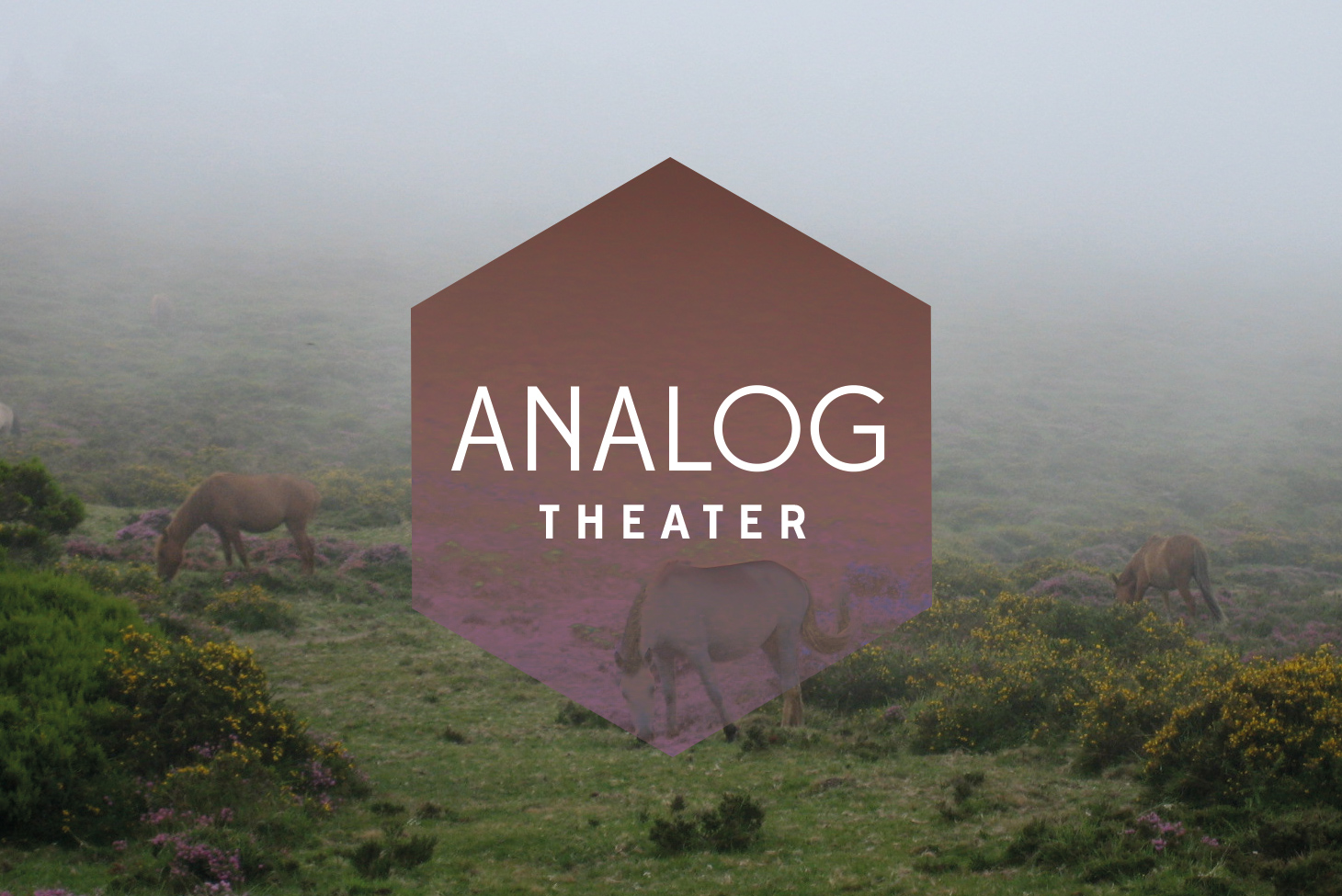 analogtheater_02