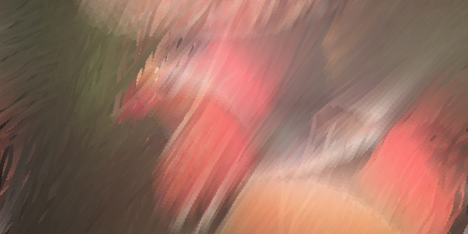 bird_03