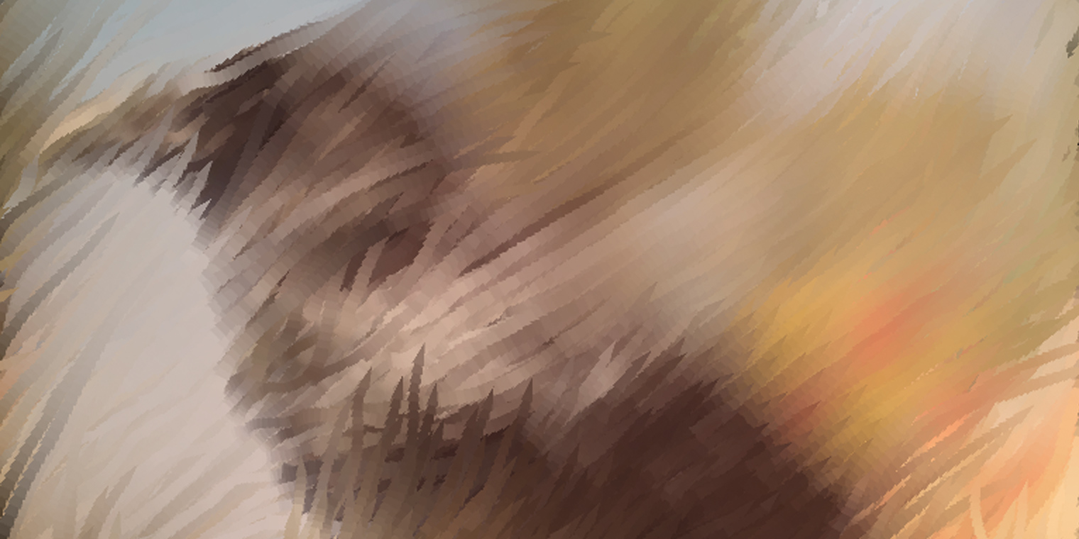 bird_04