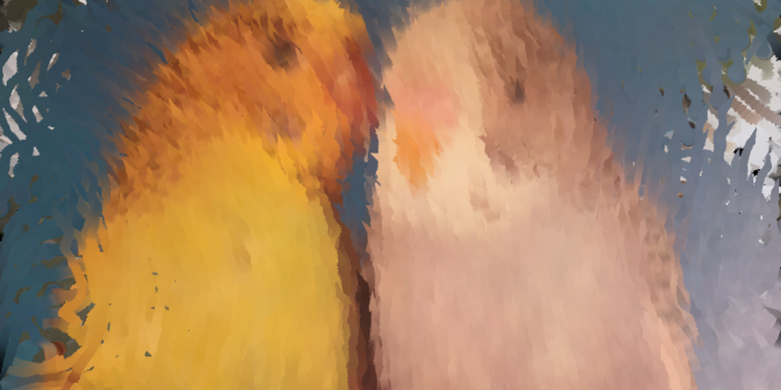bird_06