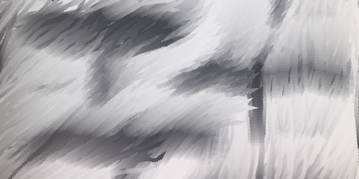 bird_08